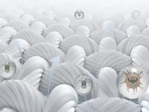 antibacterial performance